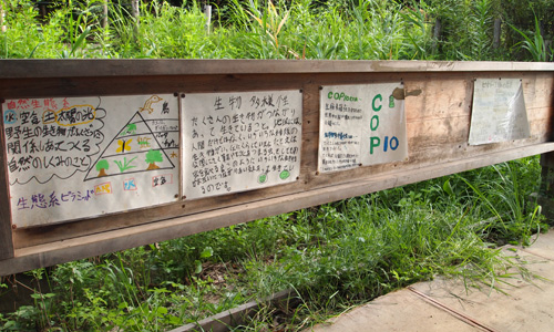 愛知県東海市立　船島小学校　掲示板